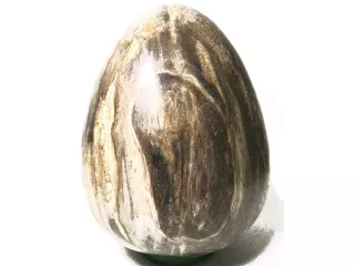 Jajo Skamieniałe Drewno Indonezja Kamień Jajko 18cm 5kg Indonezja